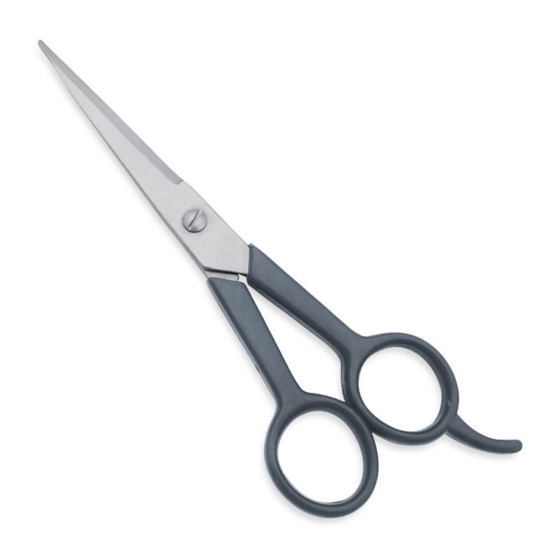 Hair Dressing Scissors